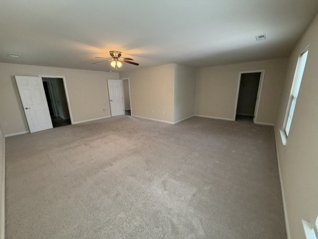 Gallery Photo 17